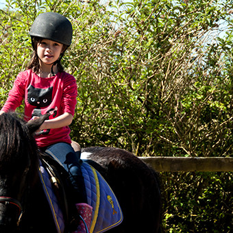 Broomhill Manor Horse Riding For Children Broomhill Manor Riding