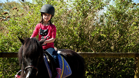 Broomhill Manor Riding