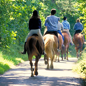 Broomhill-manor-horse-riding-hack1