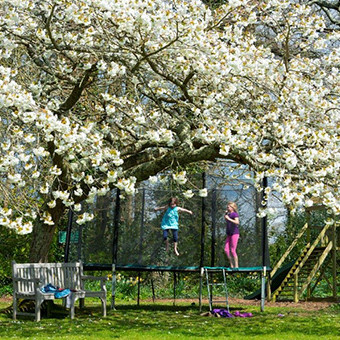 Broomhill-manor-outdoor1