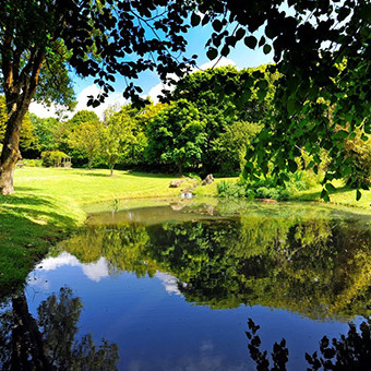 Broomhill-manor-outdoor5