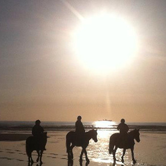 Horse-Riding-On-Beach