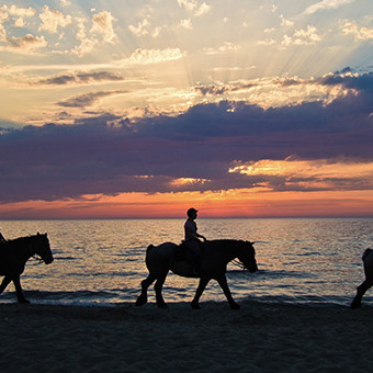 Horse-riding-on-the-beach-at-sunset Horse Riding On The Beach Broomhill Manor