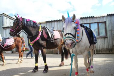 Broomhill Manor Holiday Cottages Bude Cornwall Horse Riding