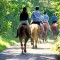 Broomhill Manor Horse Riding Broomhill Manor Horse Riding
