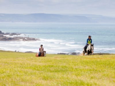 Broomhill Manor Holiday Cottages for rent in Bude North Cornwall