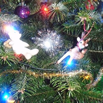 Christmas Tree Decorations at Broomhill Manor