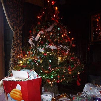 Christmas Tree at Broomhill Manor