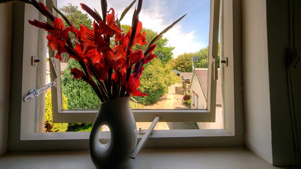 Photo of view from window in Fulmar Cottage