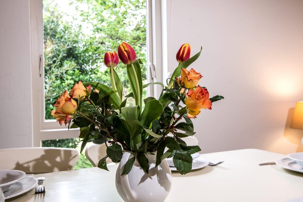 Nightingale in cottage dining Broomhill Manor Holiday Cottages for rent in Bude North Cornwall