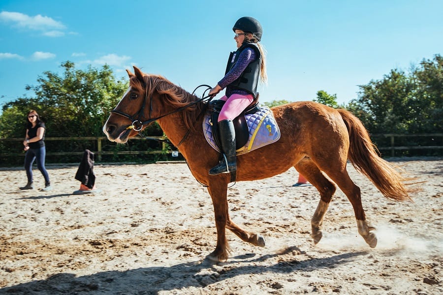 Horse Riding at Broomhill Manor