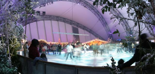 ice-rink-wide-trees-purple-lighting-eden-project Ice Skating Eden Project